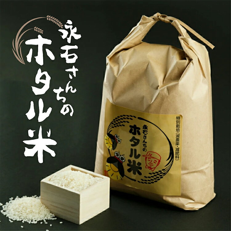 【ふるさと納税】【令和7年産】 さがびより 定期便 10kg×4回 | さがびより 定期便 永石さんちのホタル米 白米 お米 10kg×4回 10キロ×4回 40kg 40キロ こめ コメ 米 ごはん _e-29