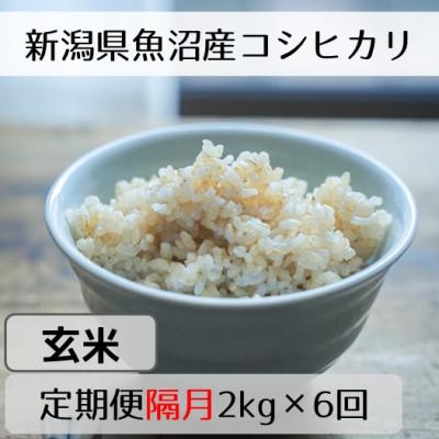 ふるさと納税 十日町市 【2ヵ月毎定期便】新潟県魚沼産コシヒカリ「山清水米」玄米2kg全6回