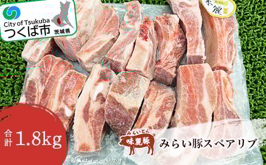 みらい豚 スペアリブ 1.8kg 村下商事【 豚肉 豚 ぶた肉 ポーク 冷凍 骨付き 銘柄豚 味麗豚 茨城県 つくば市 】