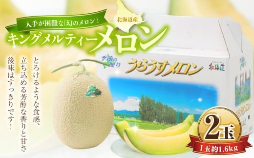 キングメルティーメロン 2玉 （1玉 約1.6kg） 【2026年7月上旬～7月下旬迄順次発送予定】 果物 フルーツ メロン めろん 青肉 希少フルーツ 希少品 北海道 浦臼町