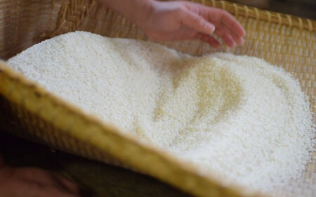 【定期便3回】農薬を使わずに作ったお米　みやもと米（白米）　5kg
