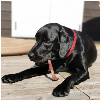 ふるさと納税 西粟倉村 森のジビエ for PET　大型・中型犬　　鹿あばら・肩甲骨ジャーキーセット　(ペットフード)