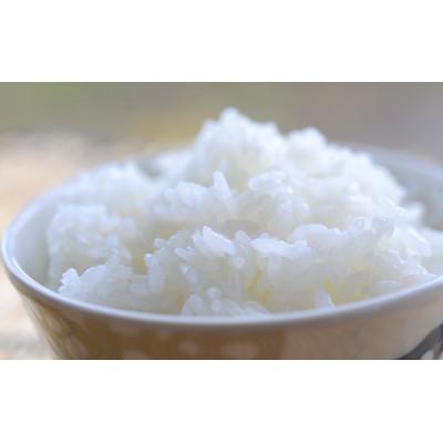 ふるさと納税 四万十町 【令和7年産 新米予約】四万十育ちの美味しい「仁井田米」にこまる3kg ※10月中旬〜の発送※ |  | 02