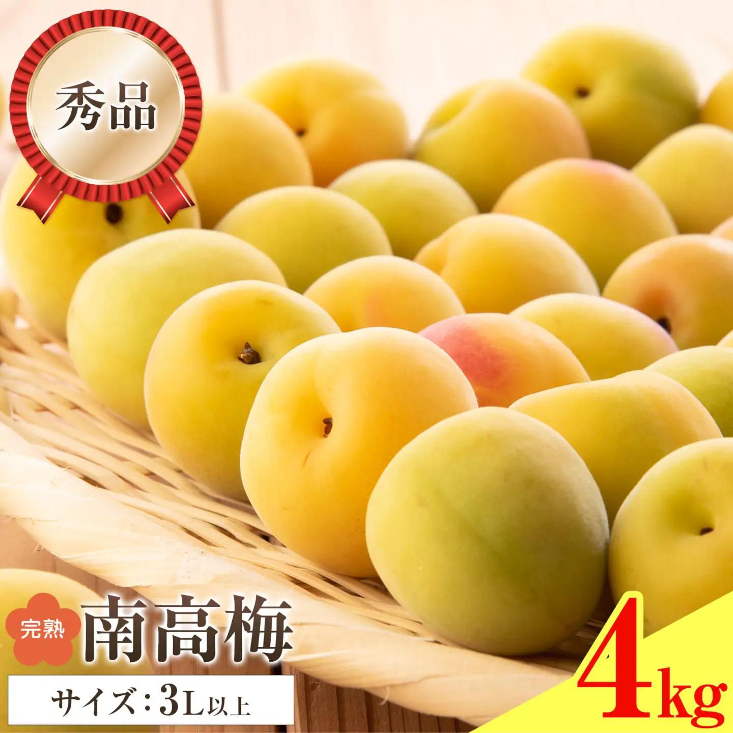 紀州南高梅 秀品 (完熟) 3L 4kg 農業福祉研究機構《6月下旬-7月上旬頃出荷》