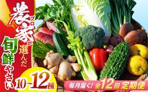 【12回定期便】高知県産 土佐季節の野菜詰め合せセット/毎月 野菜 定期 お野菜 高知 やさい 季節もの【香稜苑】 [ATBQ012] 訳あり 不揃い 規格外