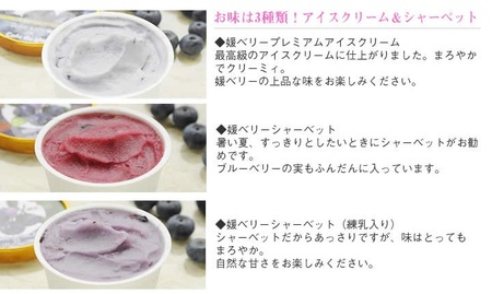 媛ベリー＆媛ベリーアイスクリームセットB(森のともだち農園玉川町) [VD03010]