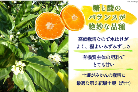 【期間限定発送】 みかん 5kg コクのある甘さ うまぁ〜い！！青島晩生温州みかん 2L [黒田農園 宮崎県 日向市 452061302]