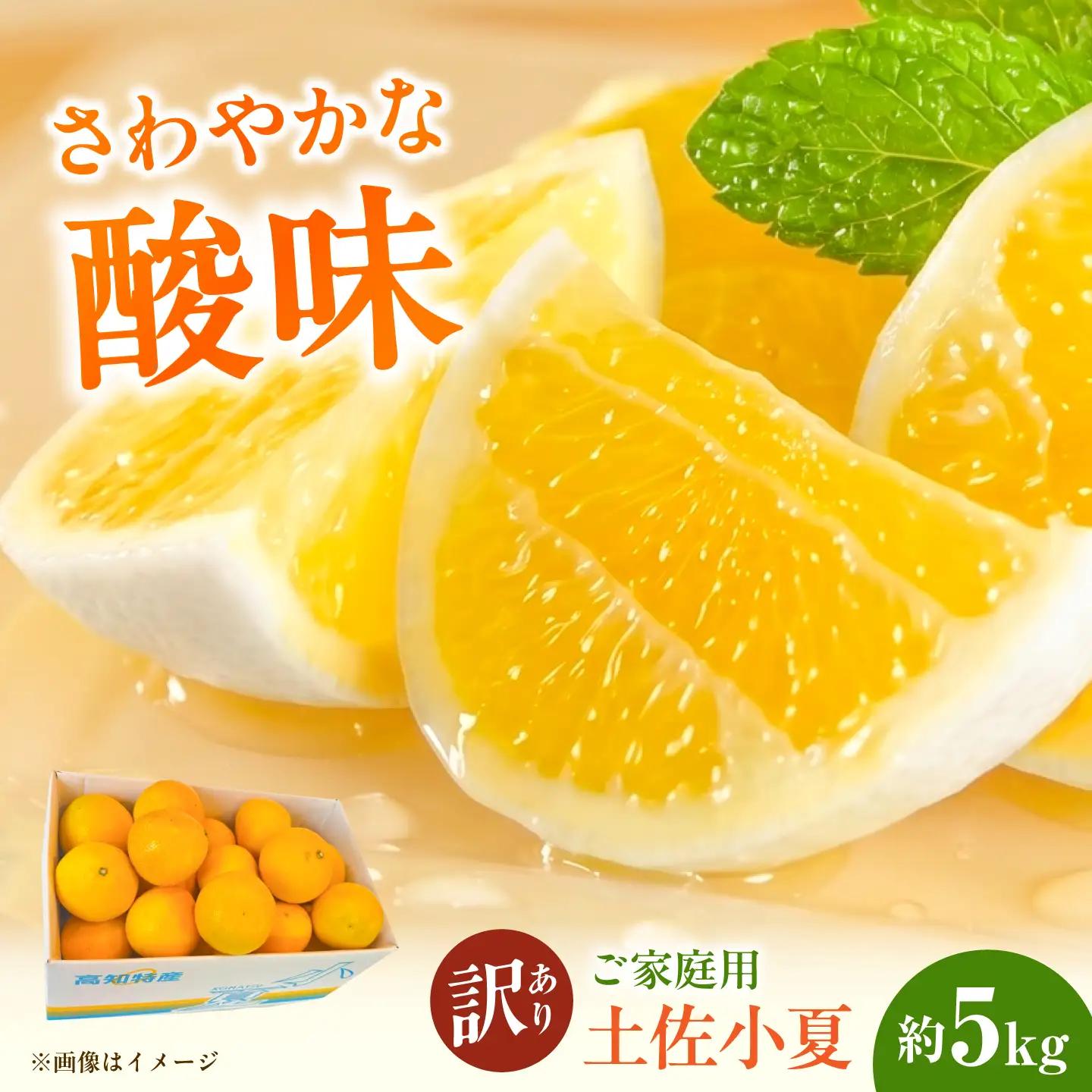 【先行予約】土佐小夏 ご家庭用 約5kg〈2027年5月下旬-2027年6月下旬頃発送〉 高知県土佐市 【株式会社SHIRAKI】 [BQAI034]