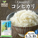 【ふるさと納税】《選べる容量》令和6年産 コシヒカリ 《4kg 5kg 10kg》 2024年11月から発送 こしひかり 精米 米 コメ こめ 福島県 和田農園 F6Q-182var