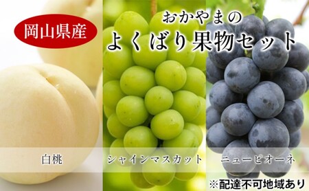 桃 ぶどう 【2025年 先行予約】 よくばり 果物 セット 岡山 白桃 2玉 合計600g以上 シャインマスカット 2房 合計1.2kg以上 ニュー ピオーネ 2房 合計1kg以上 岡山県産 国産 フルーツ 果物 ギフト