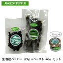 【ふるさと納税】アンコール ペッパー 生 塩蔵 （25g）＆ ペースト （60g） セット ★ プレゼント 付き★ 胡椒 スパイス 調味料 カンポット産　【 調味料 香りが良い 無農薬 若い実 塩漬け お酒 つまみ ペースト状 調味料 アクセント 】