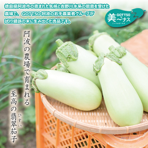水茄子 約1.2kg 美～ナス 3本 詰合せ セット なすび 茄子 翡翠茄子 水なす ナス なす