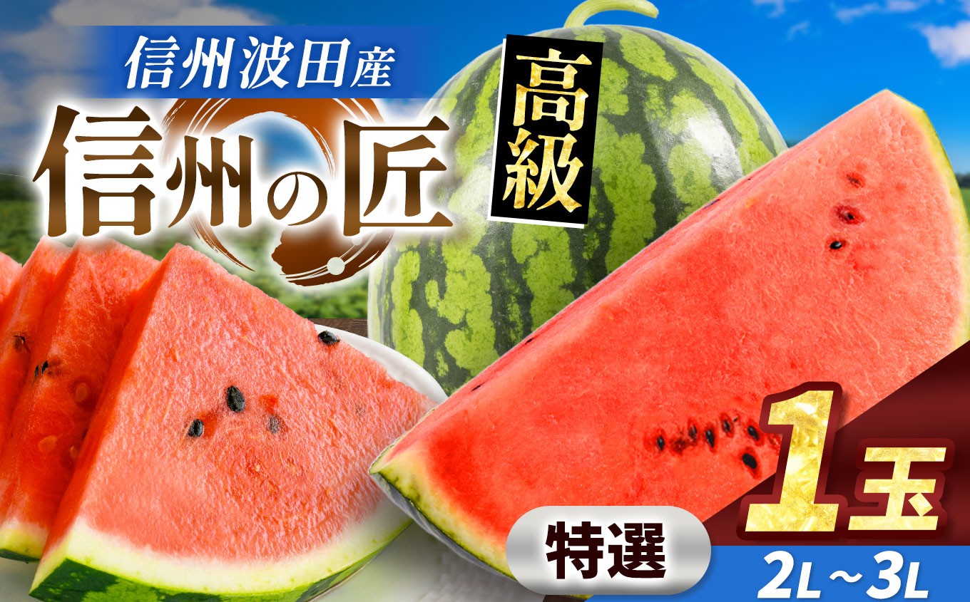 
            【先行予約】信州波田産 高級スイカ！信州の匠 【特選】 2L～3Lサイズ 1玉｜ふるさと納税 長野県 信州 松本 果物 フルーツ すいか スイカ 西瓜 新鮮 大きい 特別 贈答 季節限定 甘い くだもの ふるーつ
          