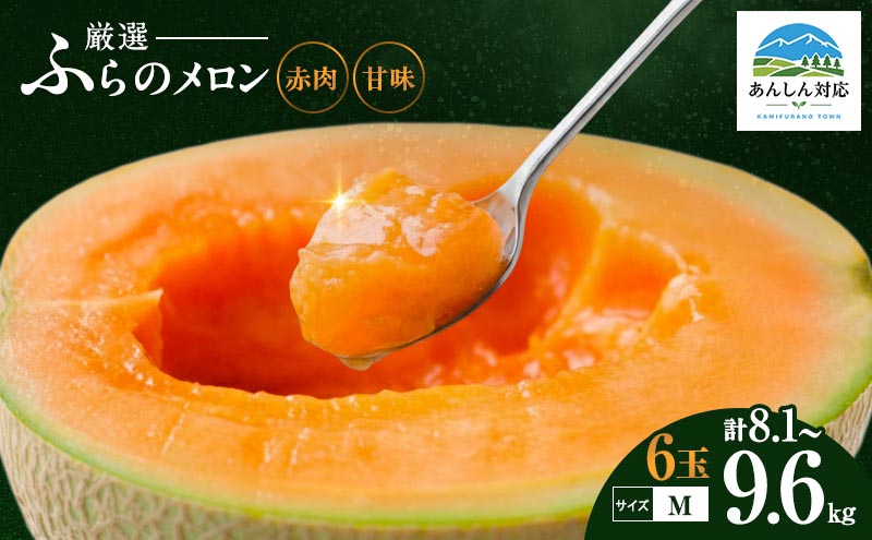 赤肉メロン 6玉セット 富良野 北海道 厳選 直送 甘味 Mサイ