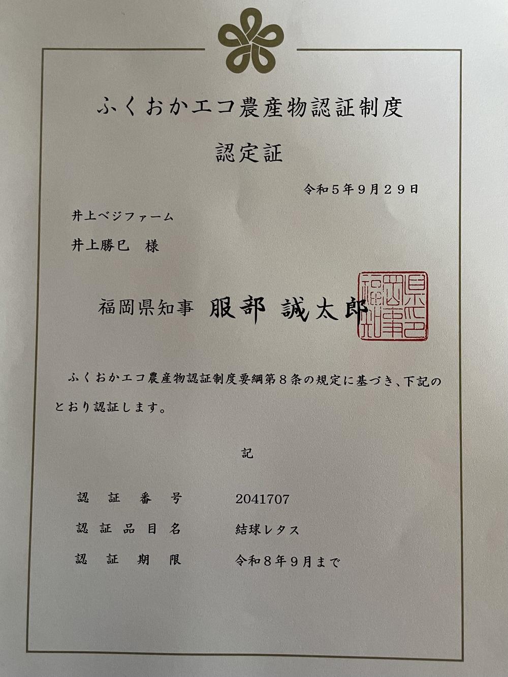【先行予約 2026年1月以降発送】 畑直送　花園レタス　6個入り（2Lサイズ）