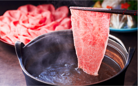 【全10回定期便】A4～A5等級 博多和牛 特選ロース 薄切り500g＜久田精肉店＞那珂川市 牛肉 ロース ロース肉 特撰ロース肉 博多和牛 薄切り肉 しゃぶしゃぶ すき焼き  定期便 牛肉 肉 黒毛