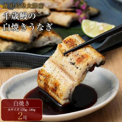 ふるさと納税 大崎町 鹿児島県大隅産　千歳鰻の白焼鰻「大」2尾