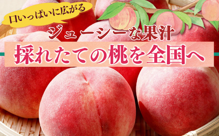 桃 （ 小玉 ）約 4kg 箱 （ 13 ～ 15個 ）| フルーツ 果物 くだもの もも モモ ピーチ 奈良県 五條市 果実 果汁 熟成 おいしい 甘い こだわり 大容量 たっぷり どっさり 送料無