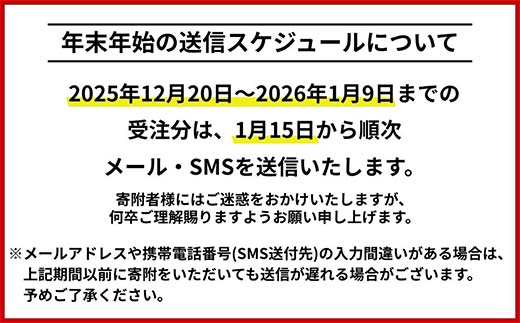 北海道釧路市 日本旅行 地域限定旅行クーポン300,000円分（Eメール発行） チケット 旅行 宿泊券 ホテル 観光 旅行 旅行券 交通費 体験 宿泊 夏休み 冬休み 家族旅行 ひとり カップル 夫婦