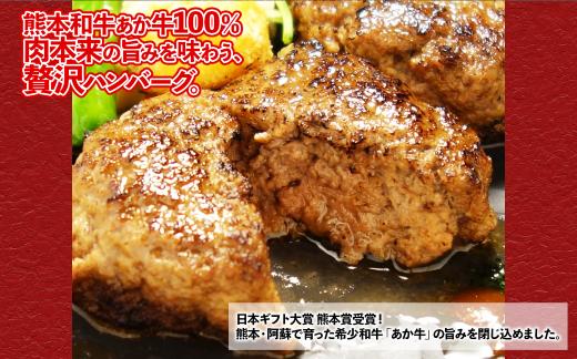くまモン あか牛 100% ハンバーグ 3個 熊本 和牛 肉 牛肉 ハンバーグ あか牛 冷凍 小分け 惣菜 おかず お取り寄せグルメ 熊本県 水上村 3個