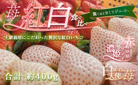 いちご 天使のいちご 紅白セット 岐阜県産 いちご【約400g】【先行予約】
