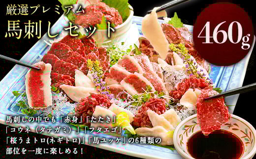 
            馬刺し すがのや 厳選プレミアム 馬刺し セット 460g 熊本 千興ファーム 馬肉 《60日以内に出荷予定(土日祝除く)》 冷凍 配送 新鮮 さばきたて 真空パック SQF ミシュラン 生食用 肉 菅乃屋 熊本県御船町 数量限定 馬刺し 食べ比べ 馬刺し 熊本 
          