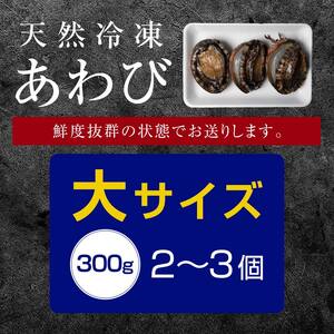 【先行予約】天然 冷凍 あわび 300g（大サイズ・2～3個）（11月～12月末までに発送）＜物産館運営振興会((株)ハマグチ)＞ あわび 鮑 アワビ 海産物 魚貝類 ふるさと納税 北海道 森町 mr