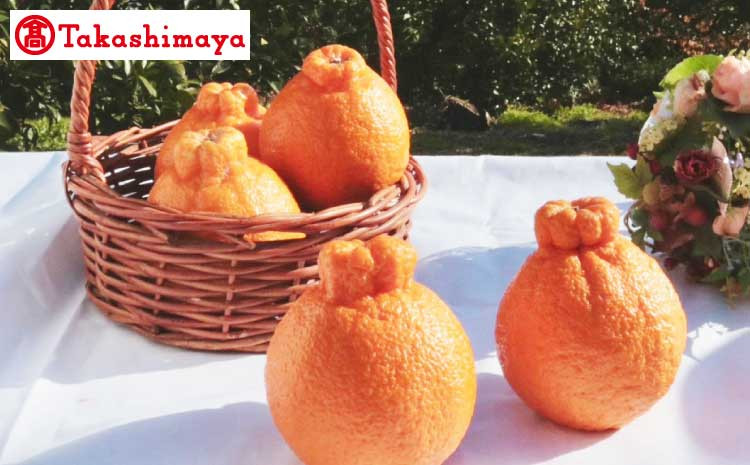 
            【高島屋選定品】松川果樹園 不知火 計2kg【2026年3月下旬～5月中旬発送予定】しらぬい 柑橘
          