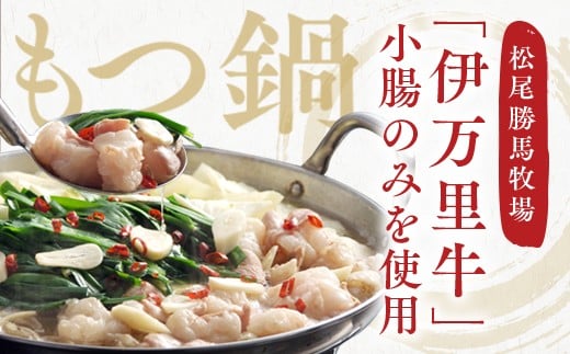 
もつ鍋セット 2人前～3人前 伊万里牛ホルモン400g スープ 麺 薬味付き J718
