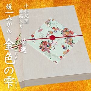 桐箱入り 媛一小玉みかん 金色の雫(こんじきのしずく)24個入り箱×二段重ね【D24-6】【1517951】