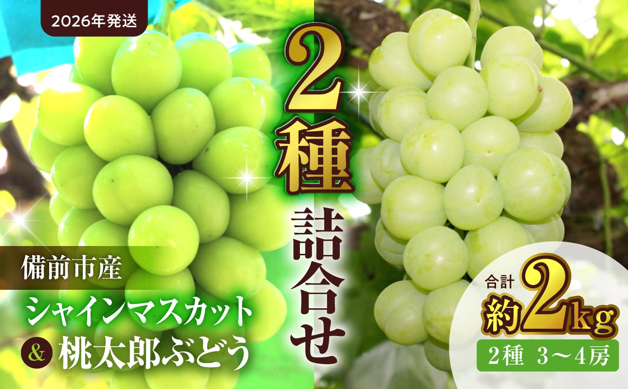 
                  【2026年発送】備前市産シャインマスカットと桃太郎ぶどうの詰合せ 約2kg （2種 3～4房）（9月初旬～9月中旬頃発送）【 フルーツ 詰合わせ シャインマスカット 桃太郎ぶどう 備前市産 晴れの国おかやま 】
                