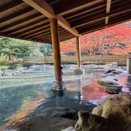 山梨県南部町秘湯「奥山温泉」日帰り入浴券(1名様分)【10枚】【1619558】