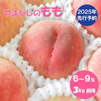 【ふるさと納税】【2025年発送分 先行予約】【朝採れももを直送！】【7月以降発送予定】フルーツ王国やまなし 小林農園の桃（6〜9個入り/3kg前後）桃 モモ もも ピーチ 3kg フルーツ 果物 山梨 富士川町 甘い 夢みずき 浅間白桃 なつっこ 川中島白桃 一宮水蜜 白秋