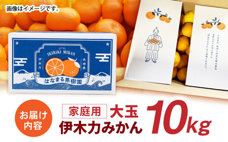 【先行予約】《伊木力みかん》大玉みかん（１０ｋｇ）
