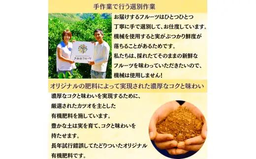  新鮮！はじける食感！「きみのハッサク」3kg  サイズ L~2L ご家庭用(秀優混合)/八朔 柑橘 和歌山県 手選別 【kmf011】