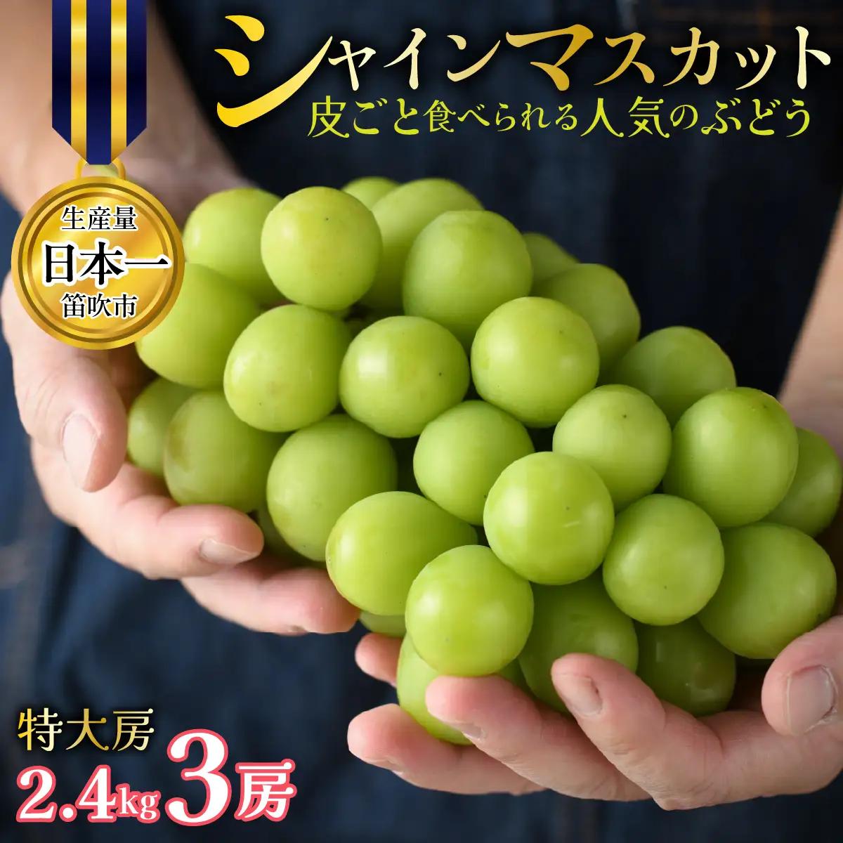 【2027年発送★先行予約】山梨県笛吹市産 シャインマスカット 3房 約2.4kg 特大房 皮ごと食べられる人気のぶどう 262-007-27y