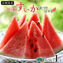 【ふるさと納税】長崎県産　長浦すいか　まつりばやし3L玉以上（8kg台又は9kg台又は10kg以上）1玉