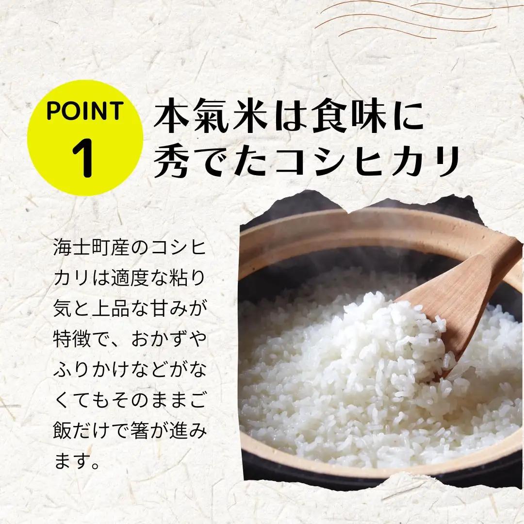 コシヒカリ 10kg ブランド 本氣米 精米 白米