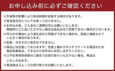 かねひろの黒酢ブラックシャインマスカット～富士の輝き （計2房／約700g以上） 【2026年9月中に順次発送予定】 ブラックシャインマスカット 葡萄 ぶどう ブドウ 果物 くだもの フルーツ 国産フ