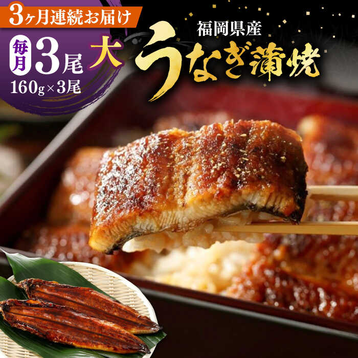 【ふるさと納税】【全3回定期便】福岡県産 うなぎ 蒲焼 大3尾 合計 480 g（1尾あたり 160g以上）《豊前市》【福岡養鰻】 国産 うなぎ 大[VAD014] 61000 61000円