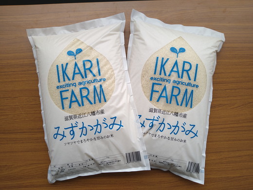 【6年産】冷めても美味しいあっさりとした味わい「みずかがみ」白米【10kg（5kg×2袋）】【C015U】