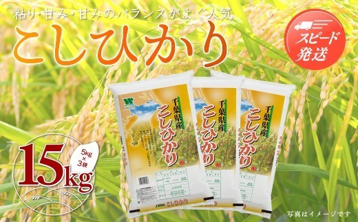 【最短2～7営業日出荷】令和7年産 千葉県産「コシヒカリ」15kg（5kg×3袋） お米 15kg 千葉県産 大網白里市 コシヒカリ 米 精米 こめ 送料無料 A049