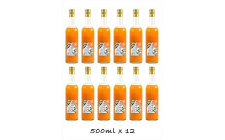 【定期便（2カ月ごと全4回）】小田原産江之浦みかん１００％ストレートジュース５００ml１２本【みかんジュース みかんジュース 神奈川県 小田原市 】