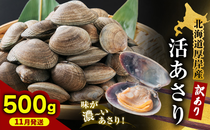 【11月発送訳あり 北海道 厚岸産 砂出し済み 活あさり 500g×1【厚岸海産】[ アサリ 魚貝 海鮮 大粒 美味しい 栄養 旨み 砂出し 水洗い 冷蔵 便利 ]