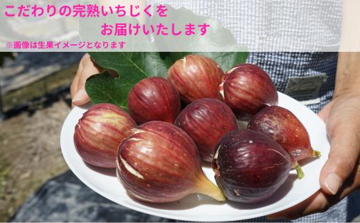 ※画像はイメージです。