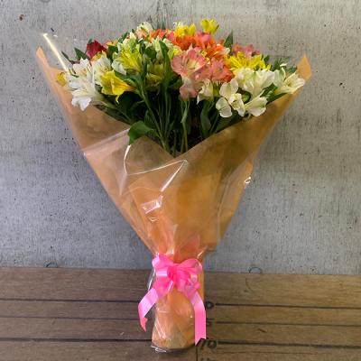 ふるさと納税 南幌町 アルストロメリア 花束 40本 3色 (白・黄・ピンク) 生産者直送 北海道南幌町 福井花園 |  | 01