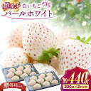 【ふるさと納税】【選べる発送月】【佐賀県産いちご】パールホワイト 約220g×2パック【株式会社IMKCorporation】[IBX023]