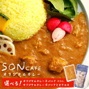 【ふるさと納税】15種スパイスを使用したSONカフェ特製カレー セット