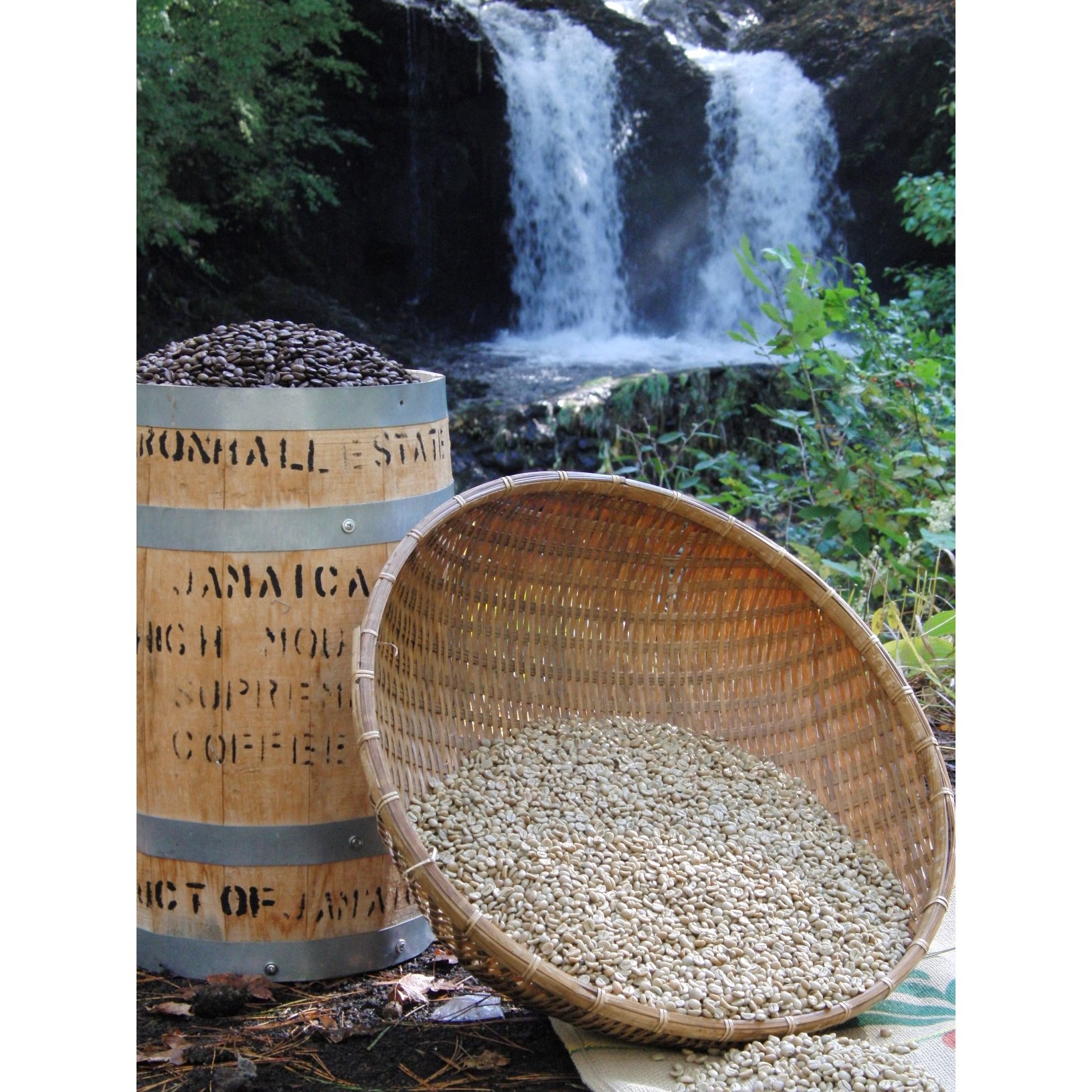 【訳あり】フェアトレード ブレンドコーヒー 富士山の湧き水で磨いた スペシャルティコーヒー 粉 640g