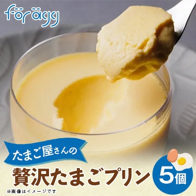 たまご屋さんの贅沢たまごプリン 5個入り【配送不可地域：離島】【1340726】